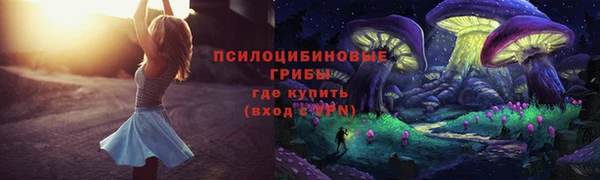 прущая мука Арсеньев
